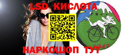 PSILOCYBIN Гудермес
