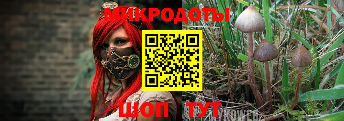 Орёл  Галлюциногенные грибы Magic Shrooms  Вход с VPN 